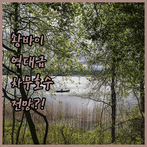 중국 솽바이 호텔 추천 리스트와 차무..