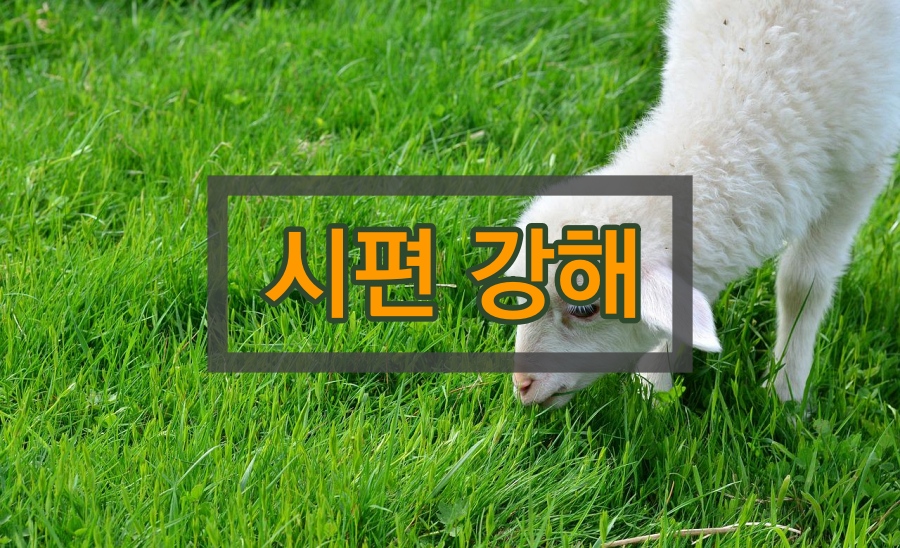 시편 강해