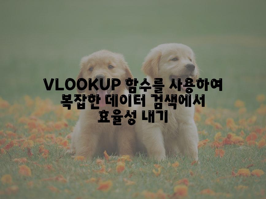 VLOOKUP 함수를 사용하여 복잡한 데이터 검색에서 효율성 내기