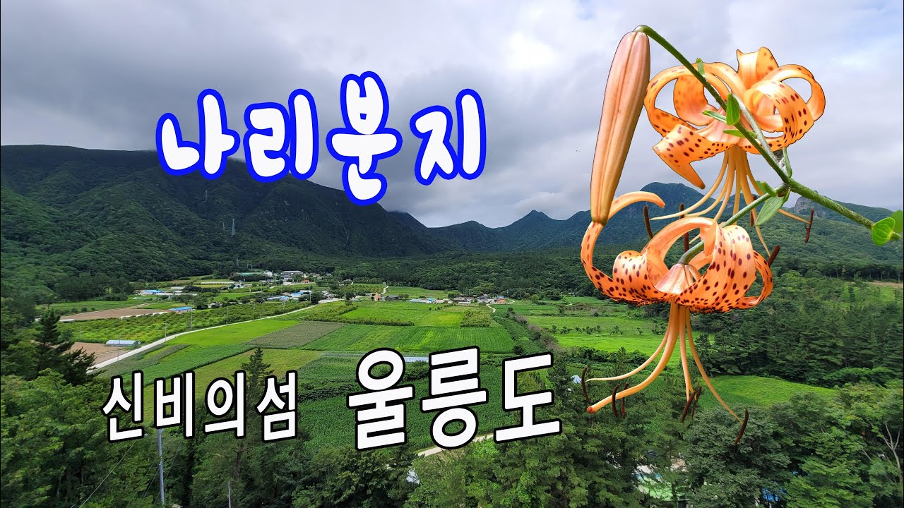 신비의 섬 울릉도 나리분지