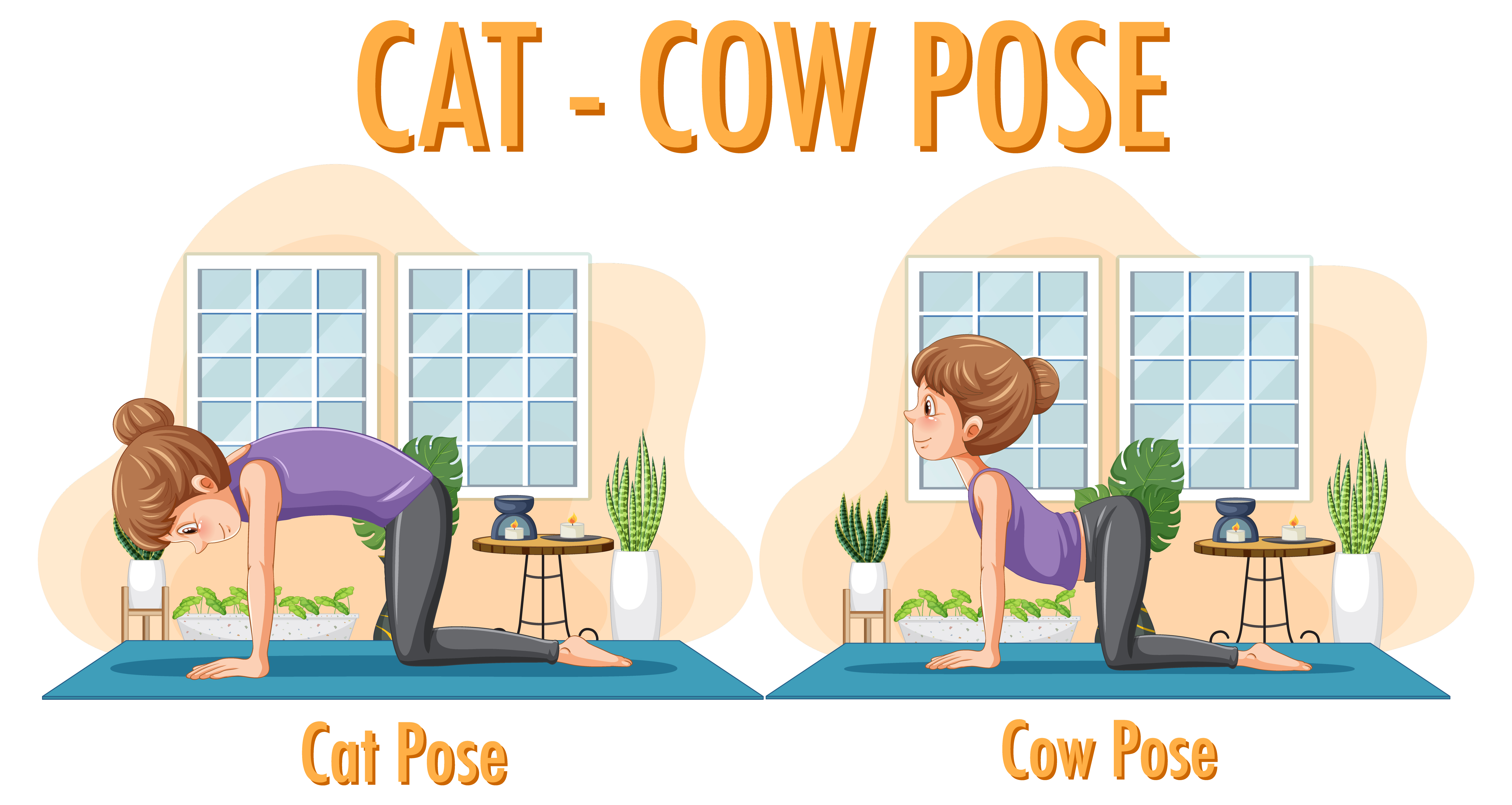 고양이-소 자세