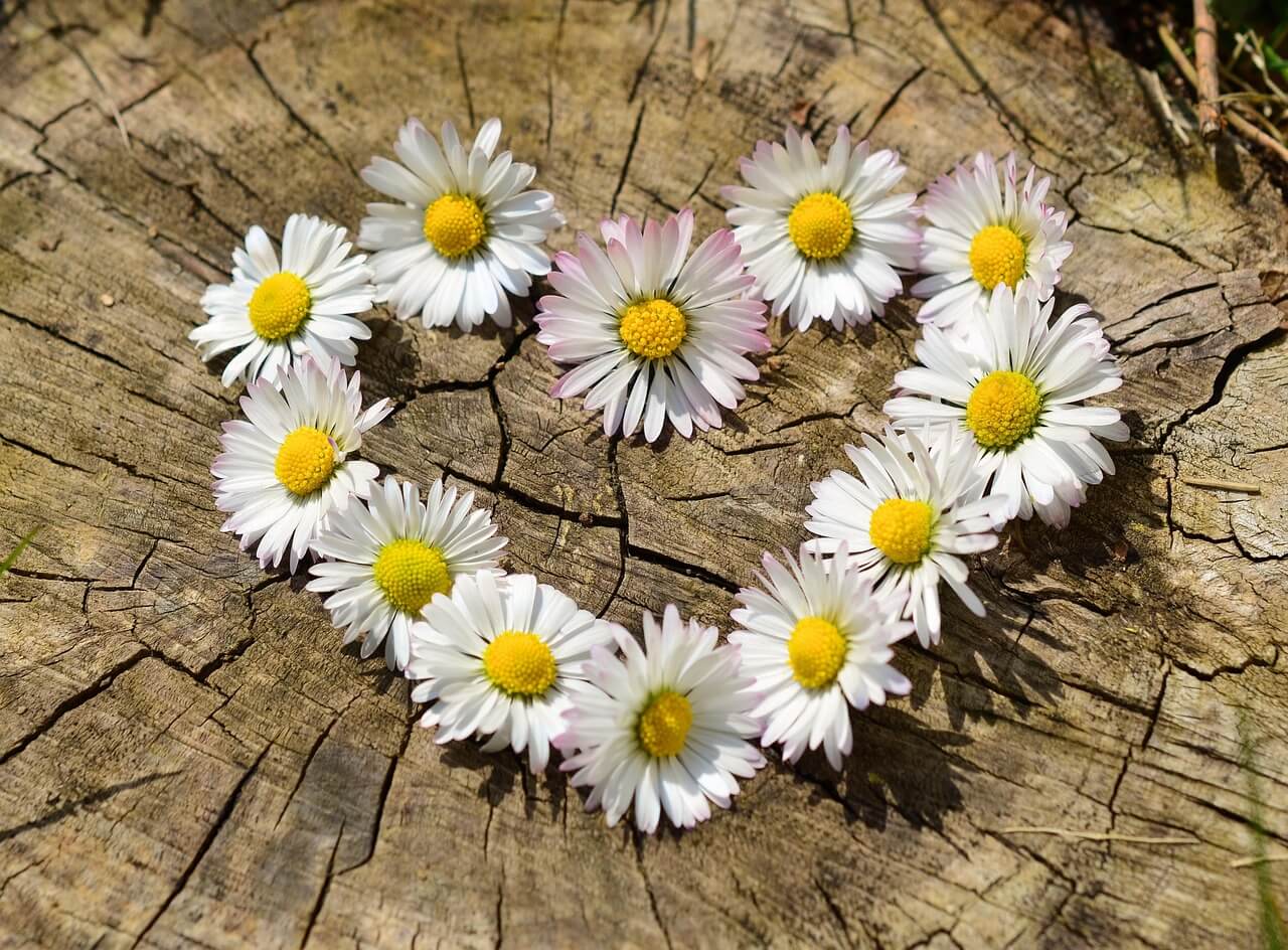 바둑두는법! 입문자를 위한 기초 가이드