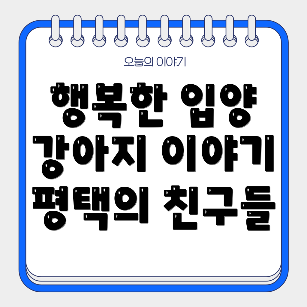 반려동물 입양