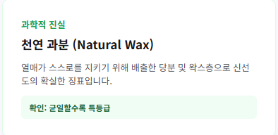 포도 효능