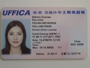 국제운전면허증