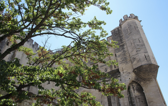 프란치스코 교황 선종