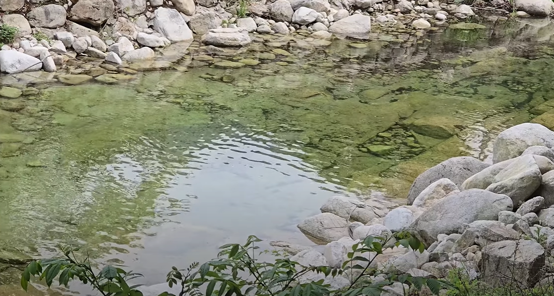 백운계곡: 깨끗한 물과 산림욕을 동시에