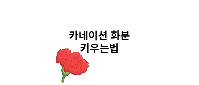 이미지썸네일