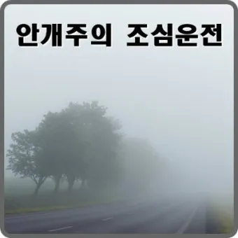 안개 주의 가시거리 운전 속도 헤드라이트 사용법_19