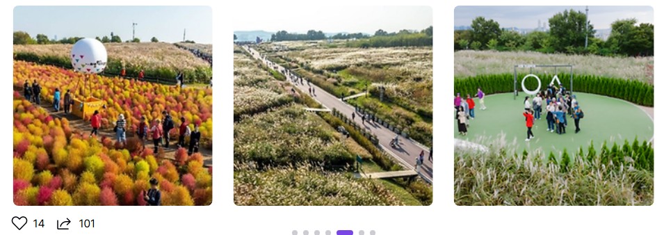 2025 가을 서울 하늘공원 억새축제 일정