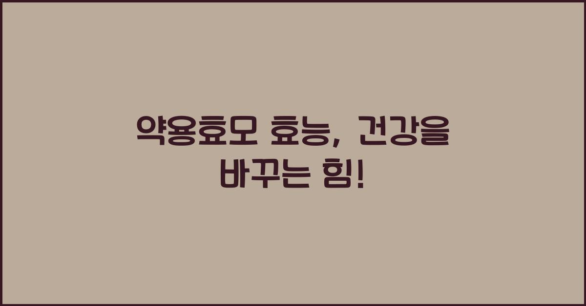 약용효모 효능
