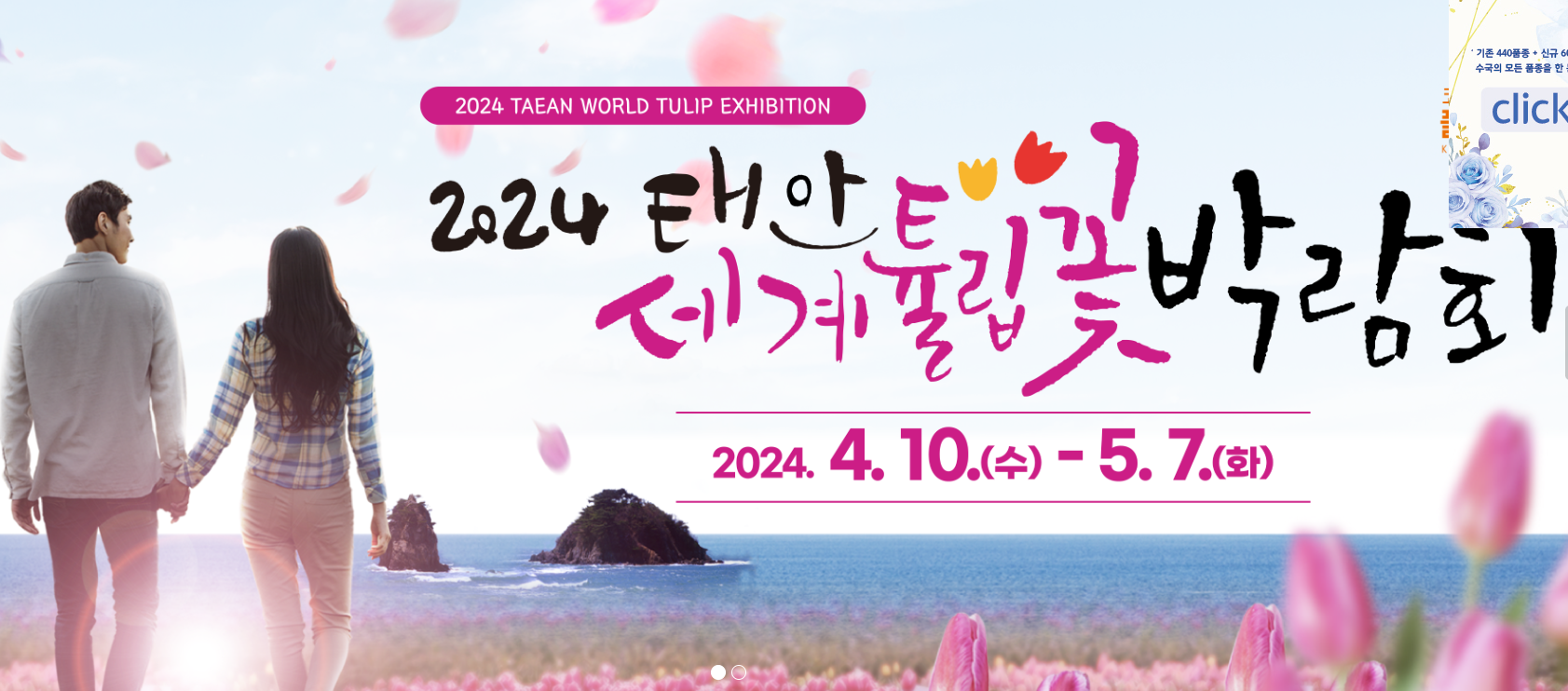 태안-세계튤립꽃박람회