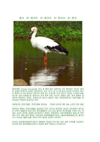 황새와 학 두루미 차이점과 생태적 특징 심층 비교_18