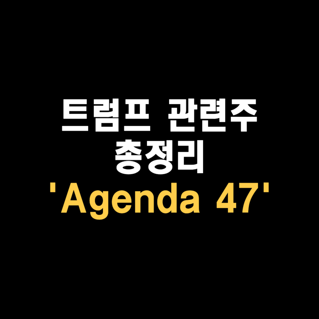 트럼프 관련주 총정리