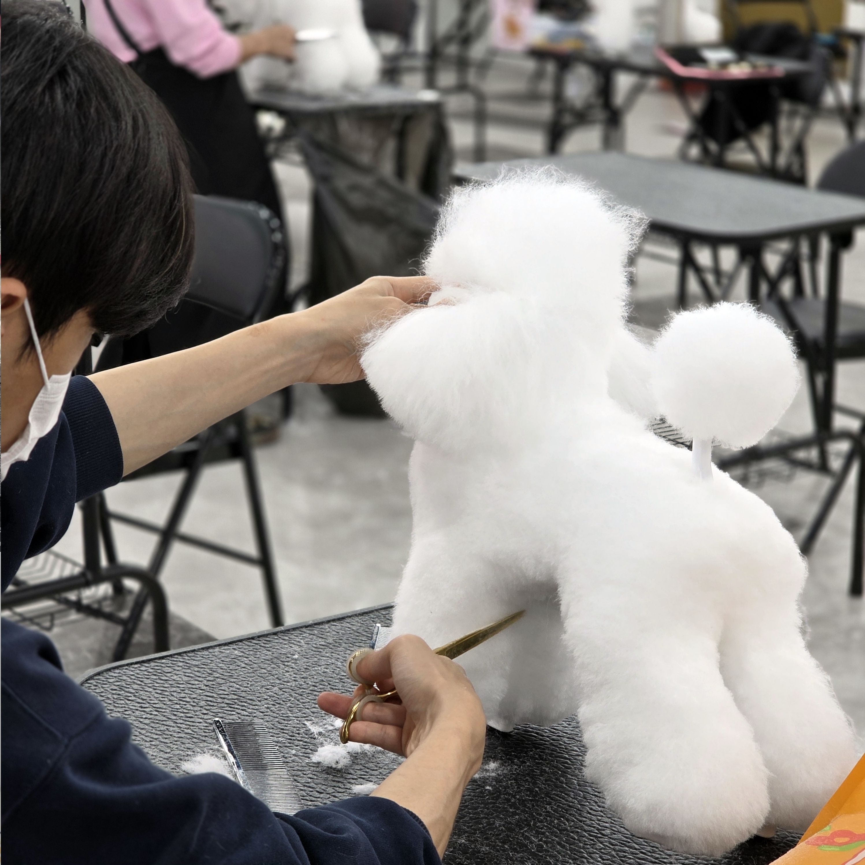 구리애견미용자격증