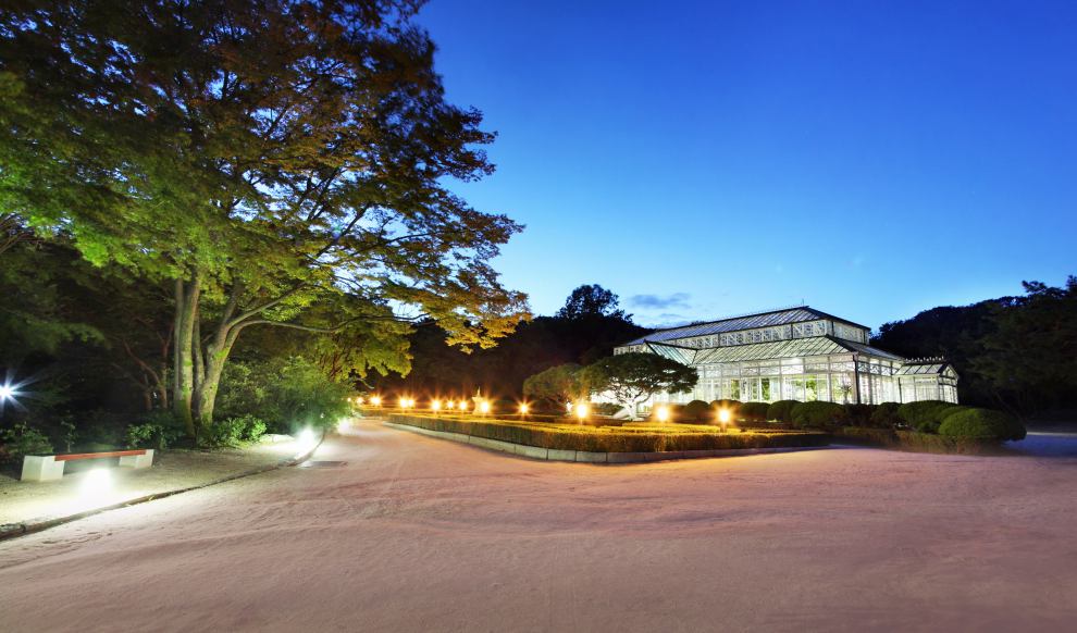 창덕궁 야간개장