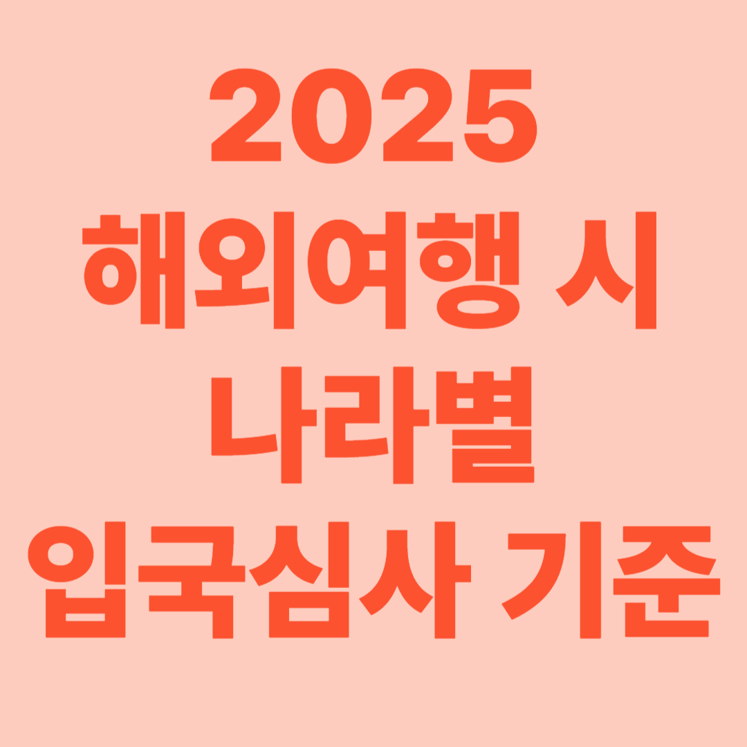 2025년 해외여행 시 나라별 입국심사 기준!!