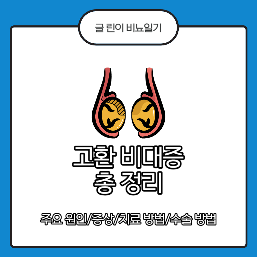 고환 비대증
고환 비대증 주요 원인
고환 비대증 증상
고환 비대증 치료 방법
고환 비대증 수술 방법