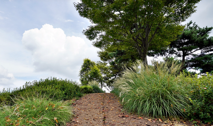당진 삼선산수목원