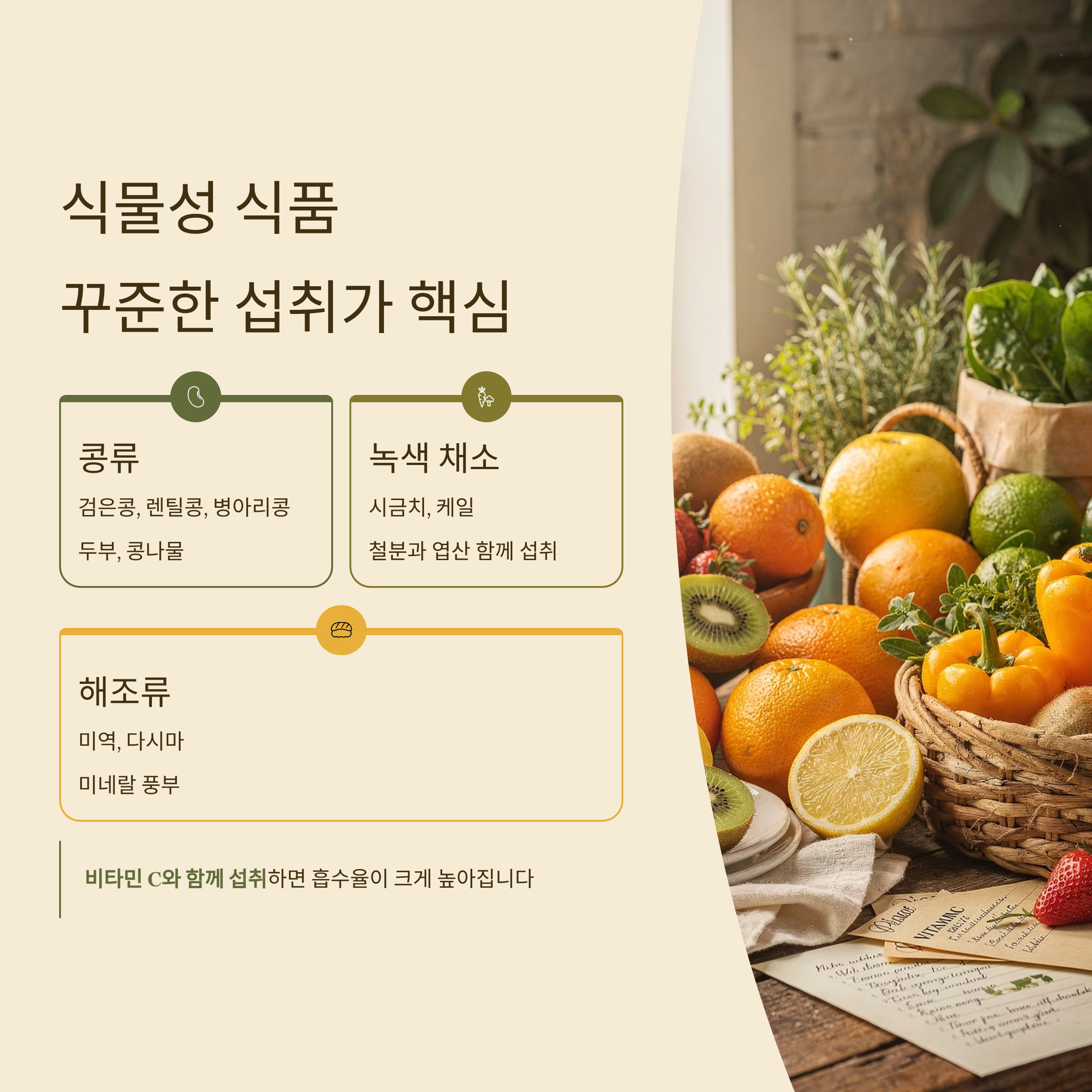 철분 많은 음식 식물성 식품
