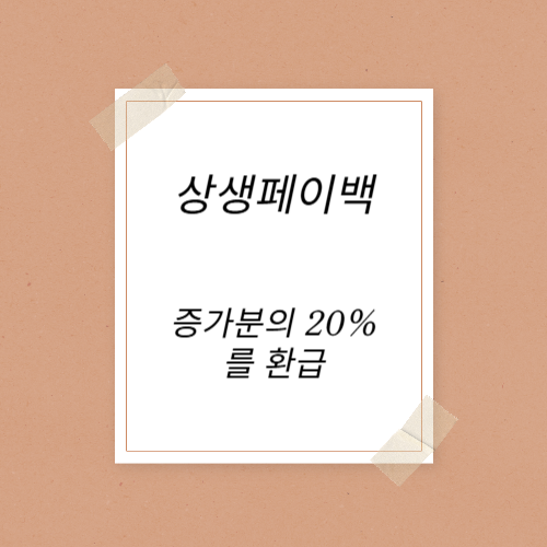 상생페이백안내