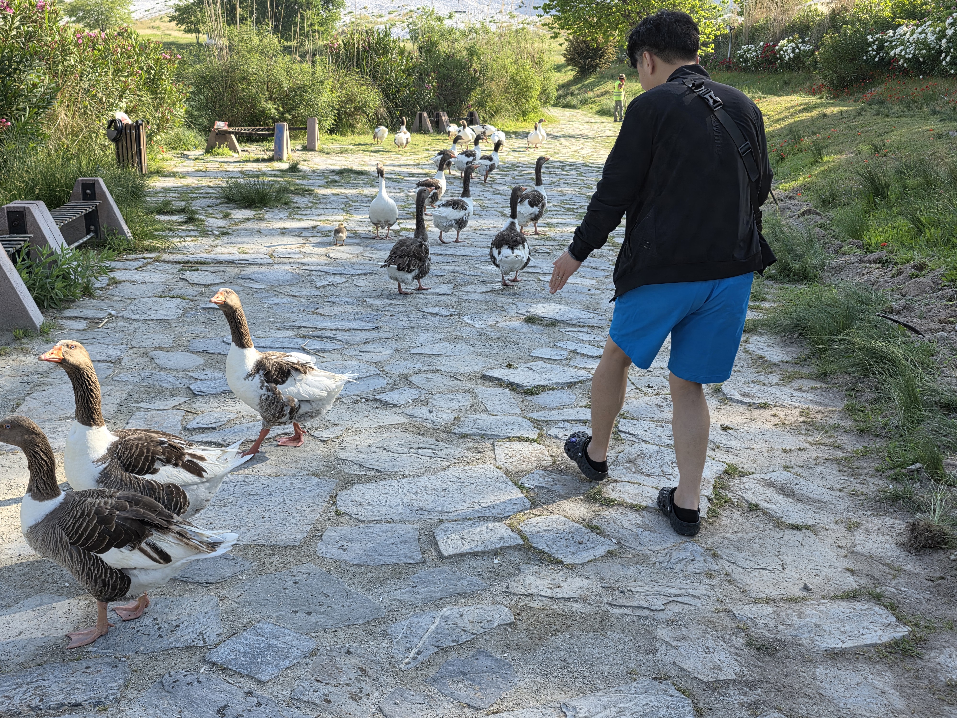 구글 나노바나나 AI 사용법 ❘ 클릭 몇 번으로 사진 편집, 합성을 손쉽게 인물제거 스타일변경, 프로필사진 감성 디자인 디자인초보 배경변경 아웃페인팅 카메라각도 조정 원하는 스타일 고퀄리티 이미지 생성 무료ai