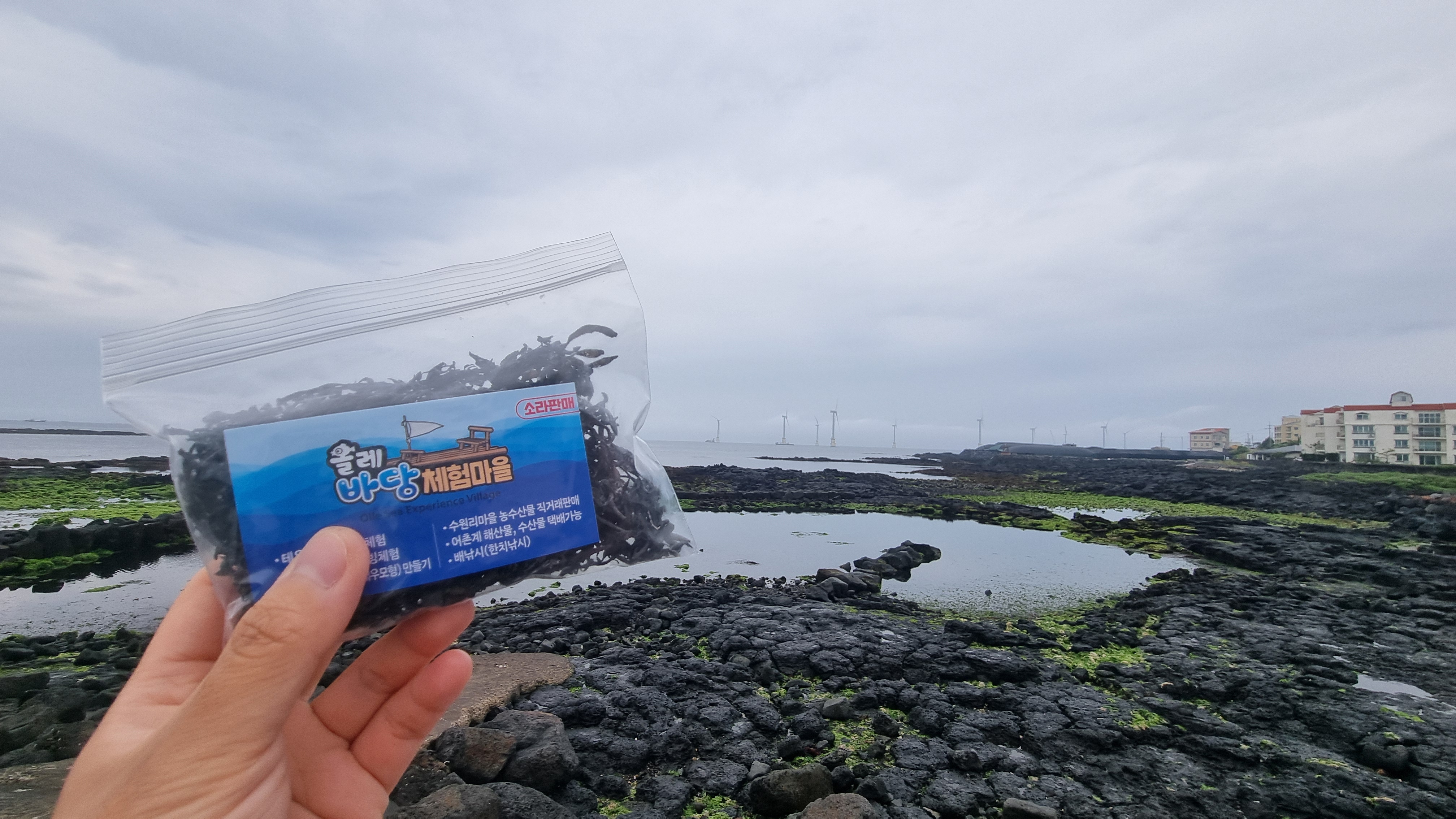 제주 어린이 낚시 체험 올레바당체험마을