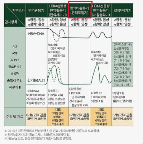 B형 간염 5단계 알아야 간암 안 걸려요!