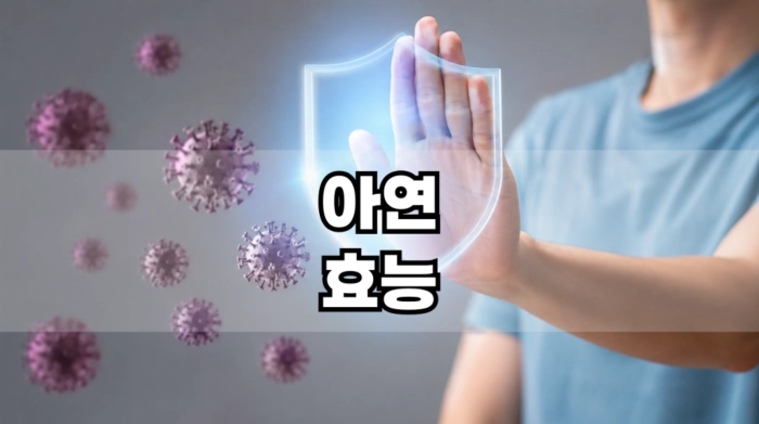 아연 효능