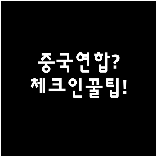 중국연합항공 온라인체크인 홈페이지에서..