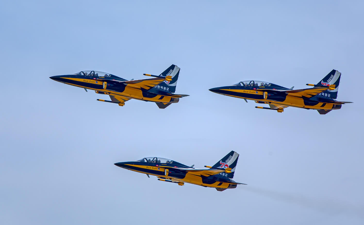 블랙이글스 에어쇼 -2