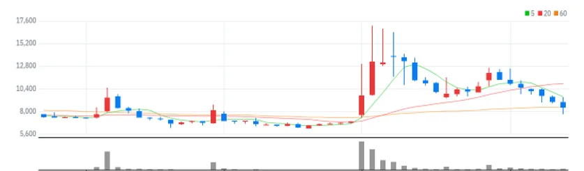 대상홀딩스 주봉