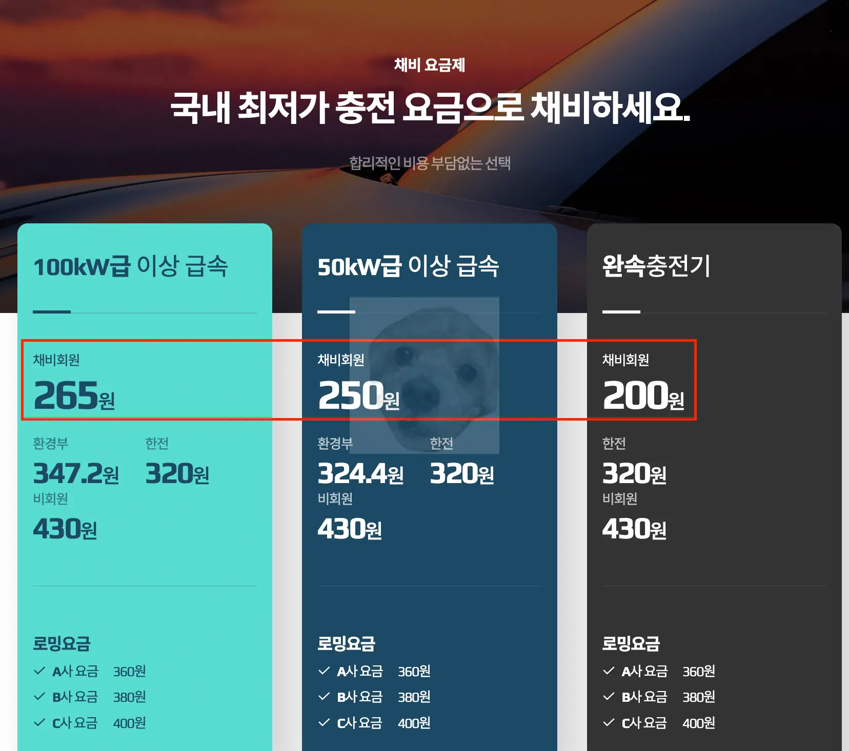 채비 홈페이지