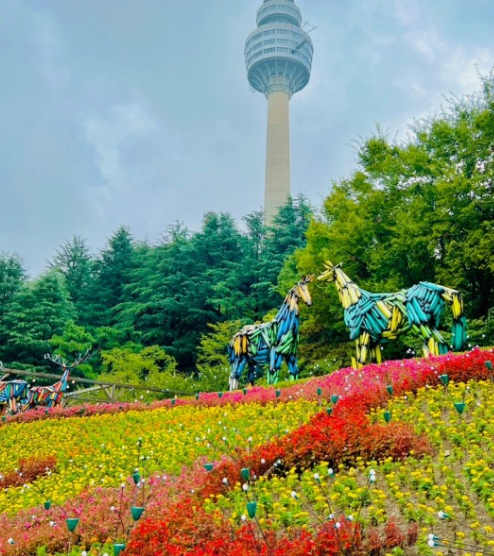 10월 가을축제 BEST 5