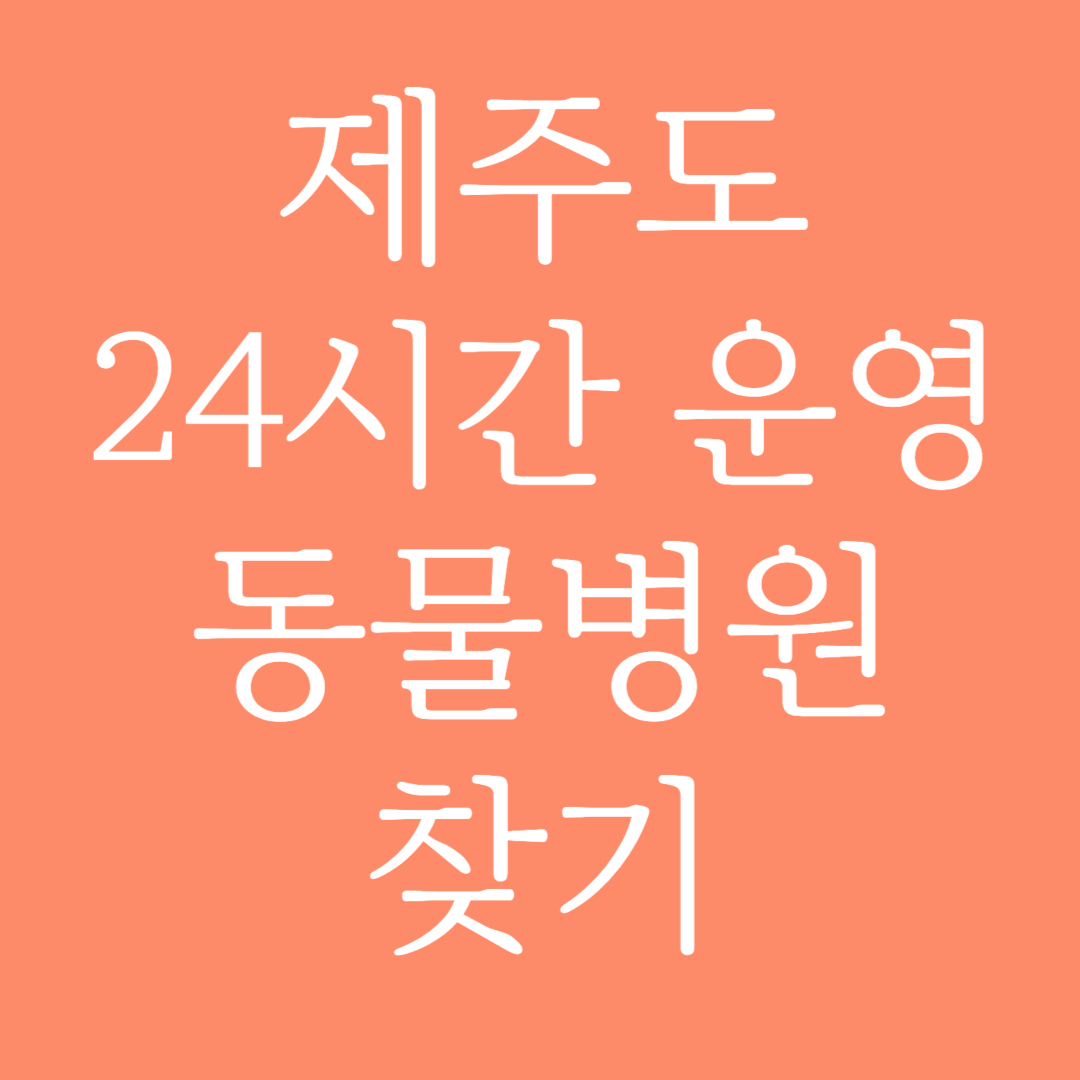 제주도 24시간 운영 동물병원 찾기