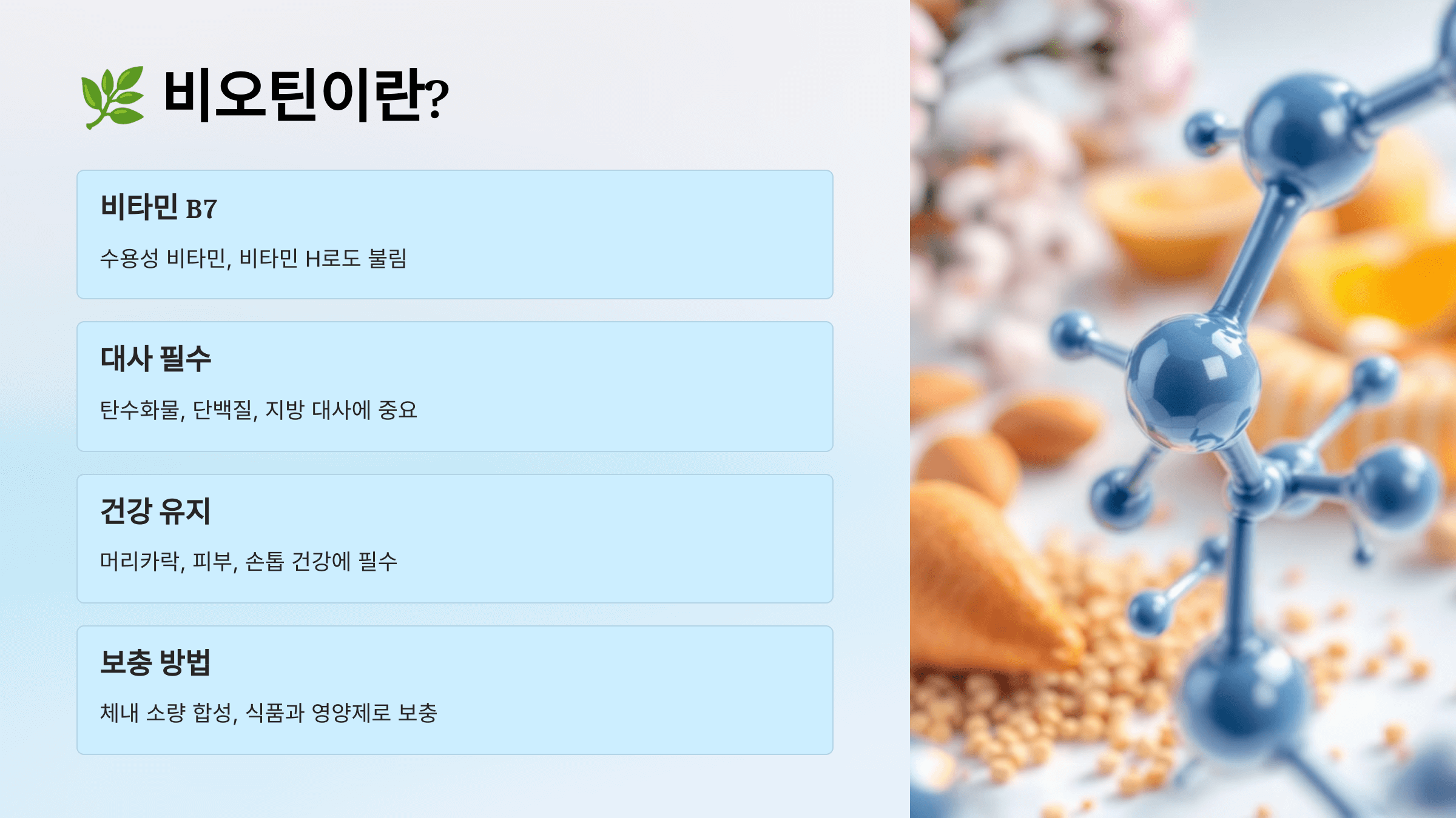 비오틴과 관련된 사진입니다.