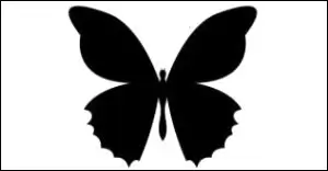 나비가 부화하는꿈