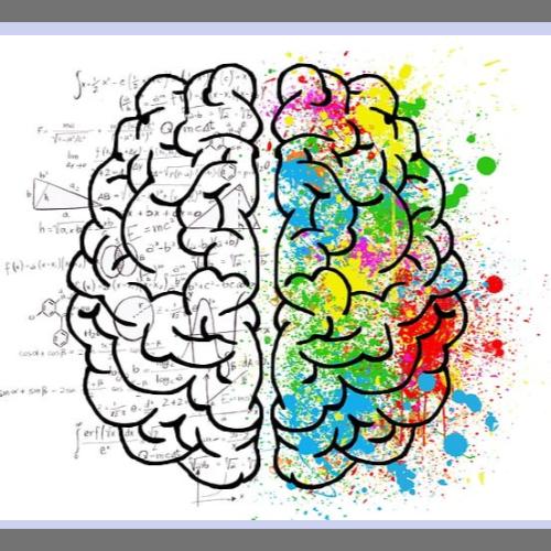 여러가지 기호가 있는 한쪽 뇌와 색칠된 반대편 뇌 그림