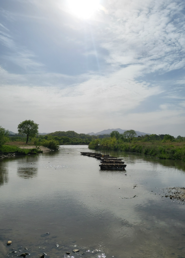 충주 가볼만한곳 베스트10
