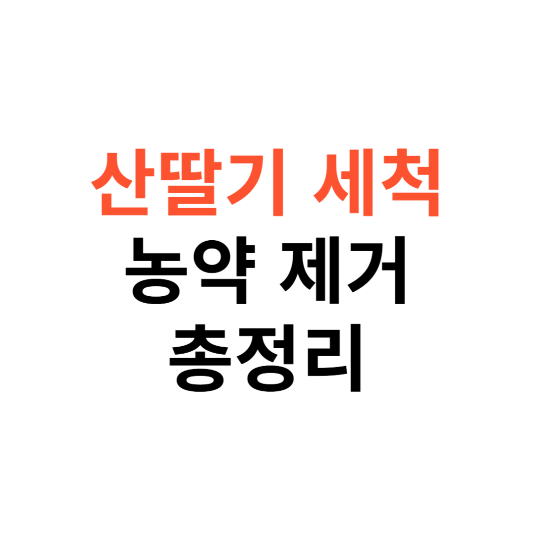 산딸기 세척법