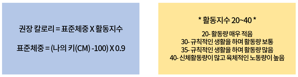 여자 하루 권장 칼로리