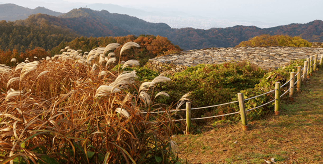 계족산 황토길(황톳길)