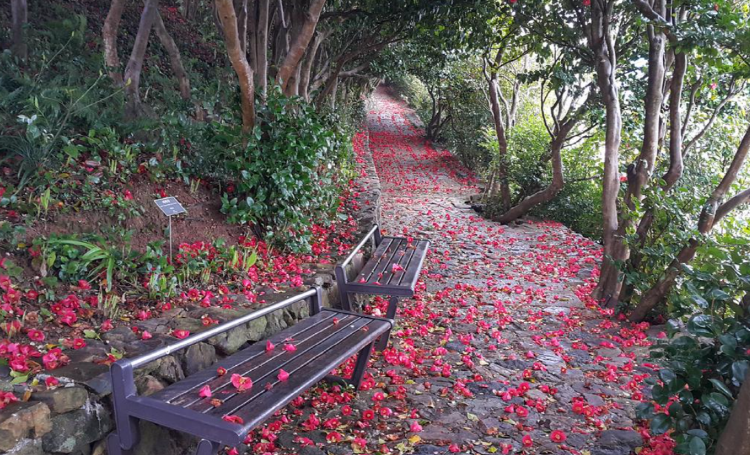 장사도 해상공원