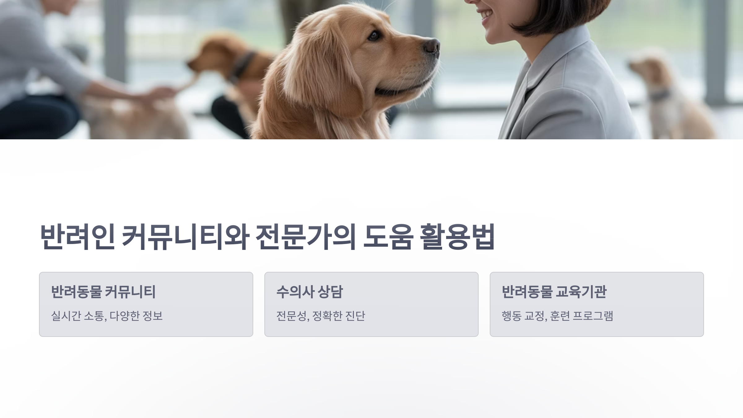 참조-반려인-고민-5