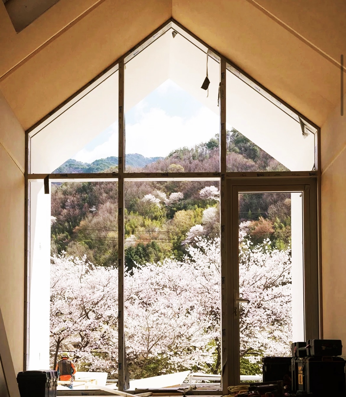 숙소에서 바라보는 벚꽃뷰