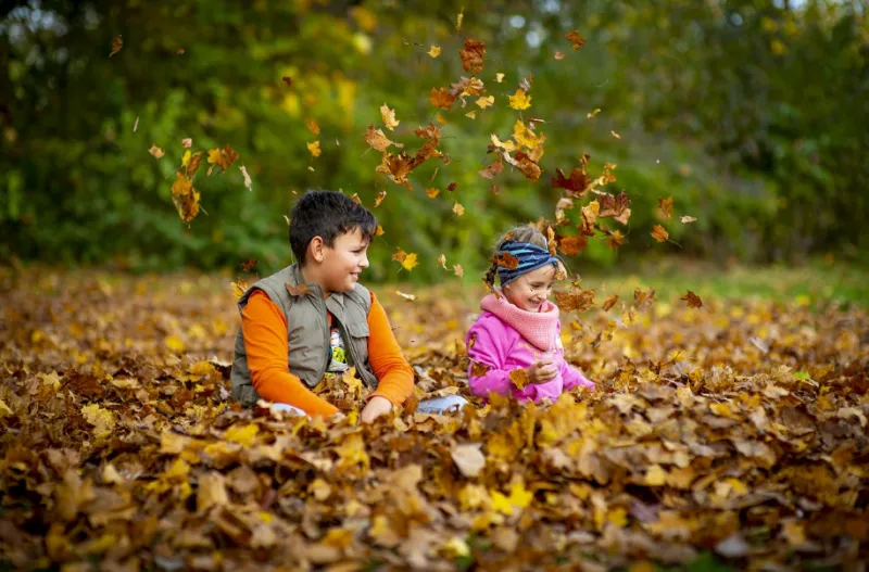 아기 배변 훈련시 체크 해야하는 부분