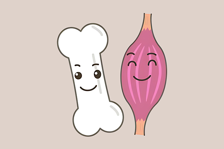 건강한-뼈와-근육의-모습