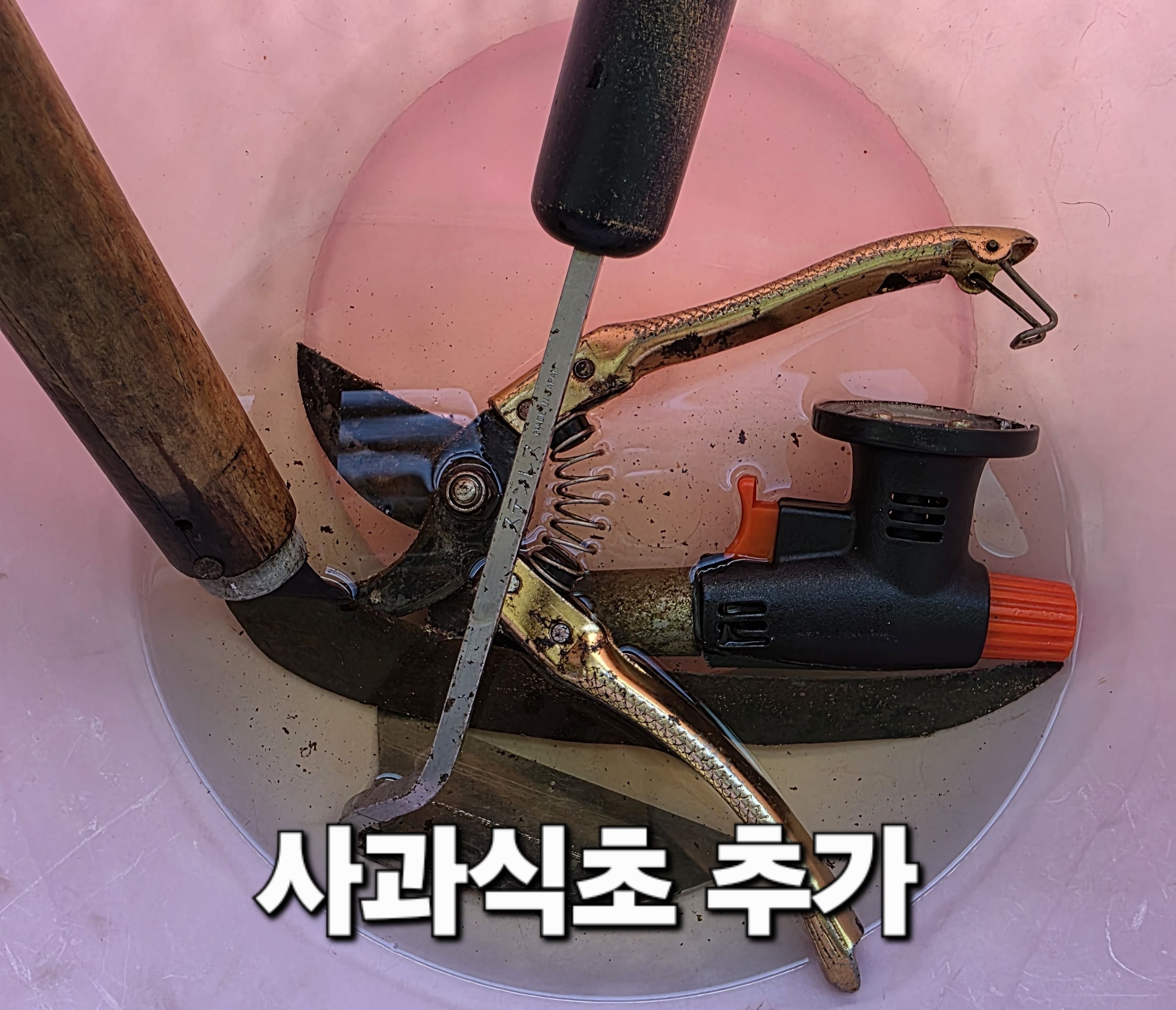녹-제거-방법-식초&middot;구연산-활용해-돈-안-들이고-해결-방법-안내-사과식초에-담갔습니다.-한꺼번에-담기다-보니