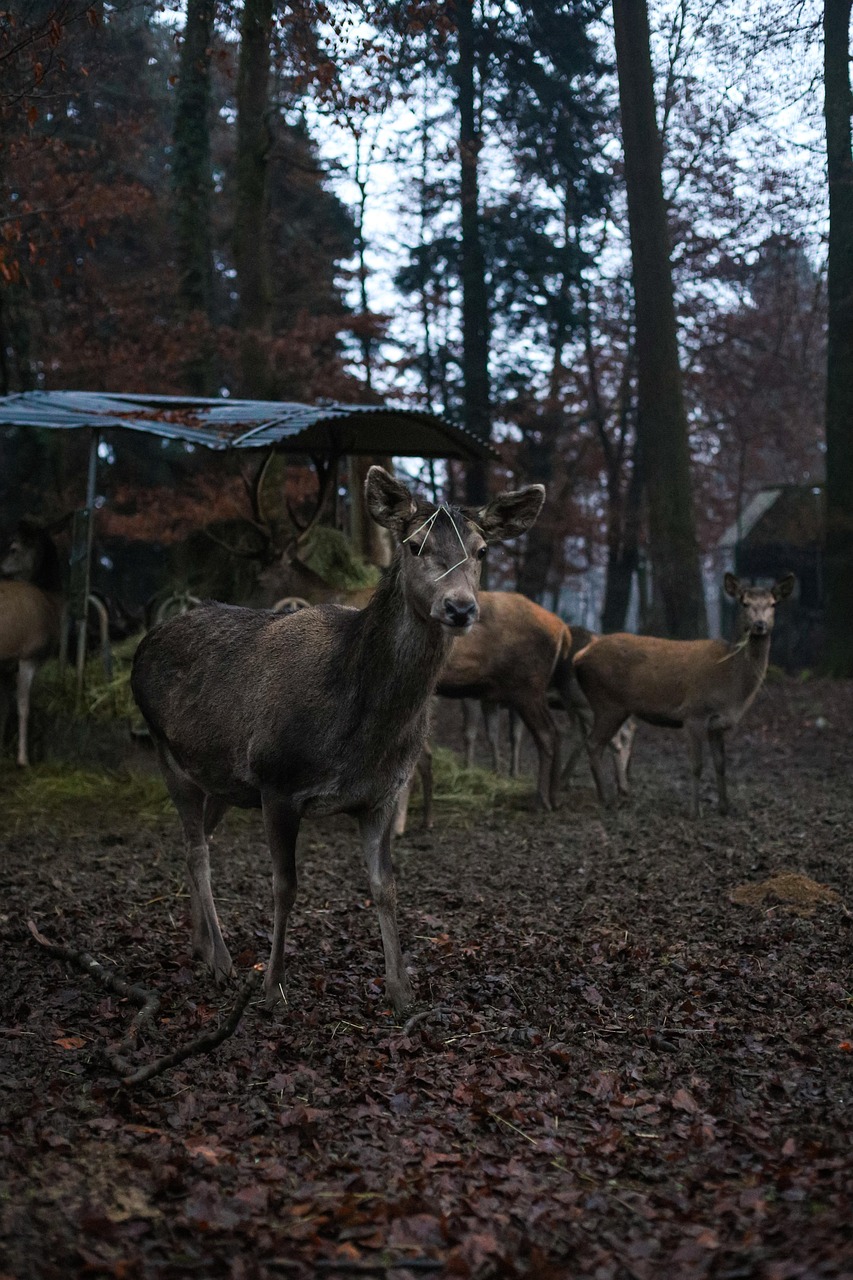에너지 플러스 빌딩: 소비보다 더 많은 에너지를 생산하는 건축물