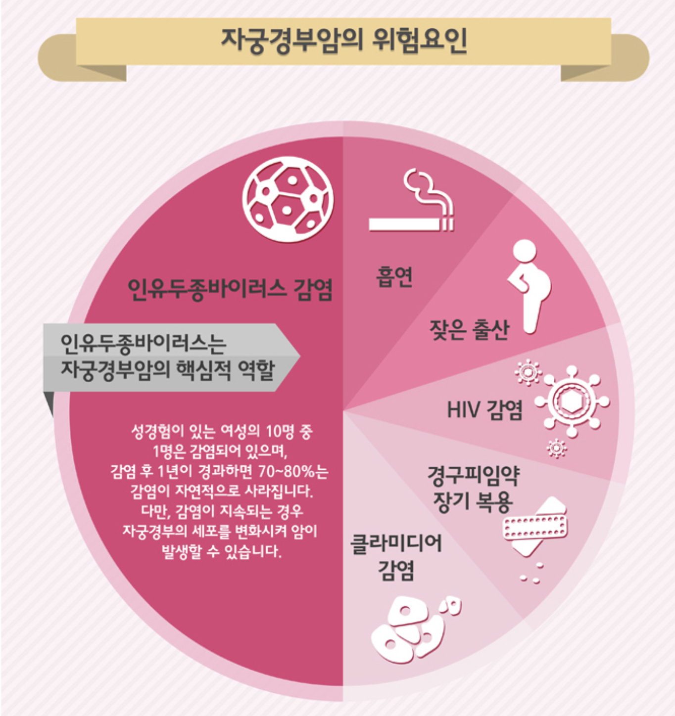 자궁경부암의 원인